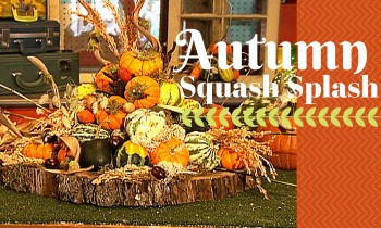 Autumn Squash Splash – DIY Network