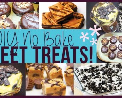 DIY Easy Yummy No Bake SWEET TREATS!