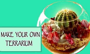 DIY ROOM DECOR ❤ Make your own terrarium!