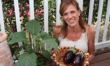 Heat, Drought, and How to Harvest Eggplant!