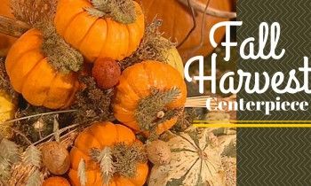 How to Make A Fall Harvest Centerpiece – DIY Network