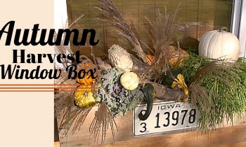 How To Make An Autumn Harvest Window Box – DIY Network