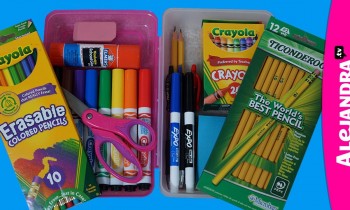 How to Organize Your Pencil Case – Pencil Box Organization