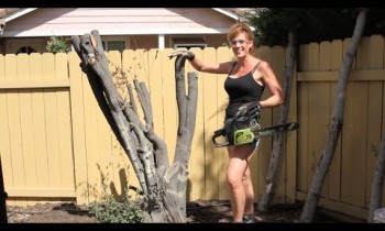 Planting the Lemon Tree and Fighting the Chain Saw