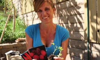 Shade Tolerant and Cool Weather Crops to Plant Now