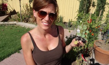 Planting Broccoli and Cauliflower –  Two Protein Packed and Cool Weather Veggies!