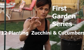 First Garden #12 – Planting Zucchini and Cucumbers and Easy Trellis Ideas