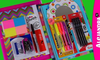 Back to School Supplies Haul 2013-14 – Shopping at Dollar Tree (Part 1 of 3)