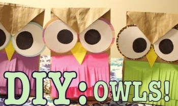 DIY: OWLS! #1!