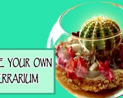 DIY ROOM DECOR ❤ Make your own terrarium!