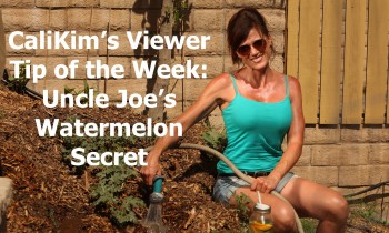 CaliKim’s Viewer Tip of the Week: Uncle Joe’s Watermelon Secret