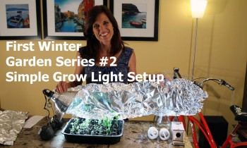 First Winter Garden #2-  Simple Grow Light Set Up