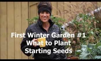 First Winter Garden Series #1 – What to Plant and How to Start Seeds