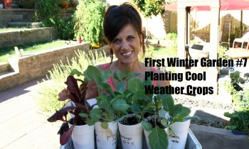 First Winter Garden Series #7: How to Plant Cool Weather Crops in the Garden