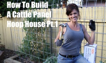 How I Built a DIY Cattle Panel Hoop House – Part 1