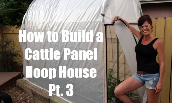 How I Built a DIY Cattle Panel Hoop House Pt. 3 – FINALE!