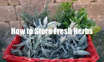 How To Store Fresh Herbs