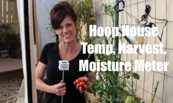 Hoop House Temp, Harvest and Moisture Meter