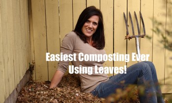 The Easiest Composting Ever – Using Leaves!