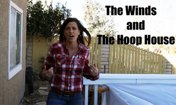 The Winds and the Hoop House