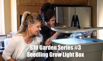 $10 Garden Series #3 – How to Make a Grow Light Box for Vegetable Seedlings