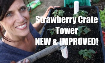 How to Build a Strawberry Crate Tower -NEW AND IMPROVED!