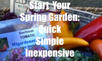 The $10 Garden Series #1 -Starting Your Spring Garden – Quick, Simple and Inexpensive!