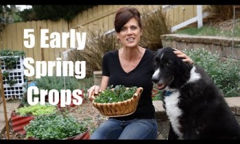 The 5 of the Best Easy-to-Grow Early Spring Crops