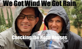 We Got WIND We got RAIN – Checking the Hoop Houses