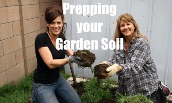 $10 Garden Series #8 – How to Prepare Your Garden Soil for Planting Vegetables