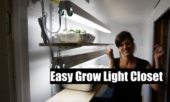 Digging Deeper: How Build an Easy DIY Indoor Grow Light Closet for Veggie Seedlings