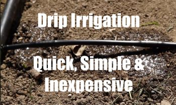 $10 Garden Series #9 –  How to Install a Drip Irrigation System for Your Garden