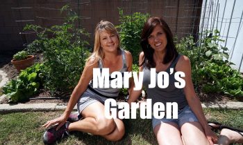 $10 Garden Series #11-  Mary Jo’s Garden – You Won’t Believe This – in 4K