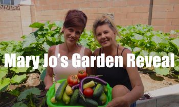 $10 Garden Series #12 – Mary Jo’s Garden Reveal – Unbelievable!  In 4K