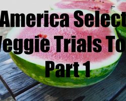 All-America Selections Veggie Trials Tour – Part 1 – in 4 K