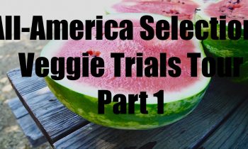 All-America Selections Veggie Trials Tour – Part 1 – in 4 K