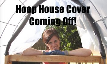 DIY Hoop House Cover is Coming Off!  Spring is Here!