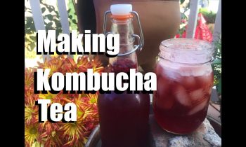 How to Make Kombucha Tea at Home – Quick, Simple, Inexpensive