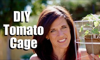 Making a DIY Tomato Cage – Sturdy, Easy and Cheap // $10 Garden Series #5, Season 2