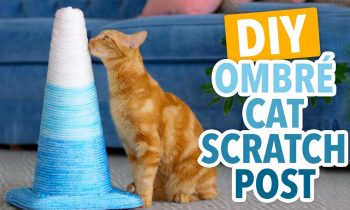 DIY Ombré Cat Scratching Post – HGTV Handmade