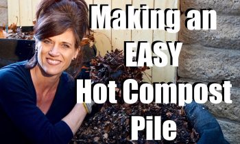 How to Make a Hot Compost Pile – Quick, Simple & Inexpensive  //  Feeding Your Garden #4