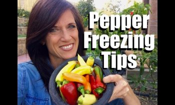 Pepper Freezing Tips – Quick and Easy