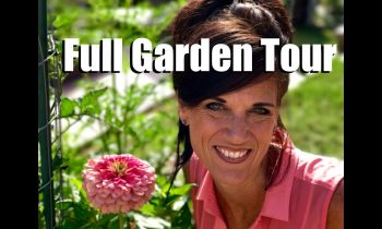 Full Summer Garden Tour with DRONE footage – July, 2017