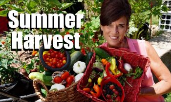 Organic Garden Summer Harvest – July, 2017