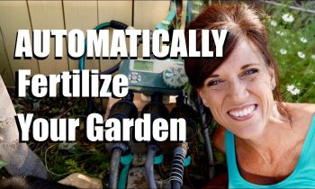 How I’m Automatically Fertilizing My Garden with Drip Irrigation