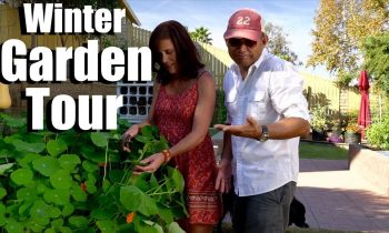 Winter Garden Tour/Harvest – December 2017