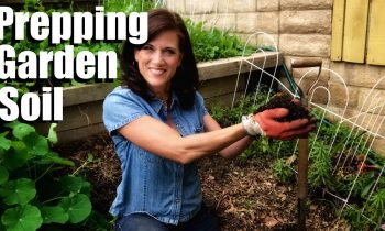 How to Prepare Your Garden Soil for Planting Vegetables in 3  Easy Steps // Spring Garden Series #8