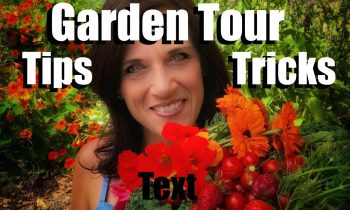 Garden Tour May 2018 – Lots of Garden Tips and Tricks & Bringing on the Pollinators!