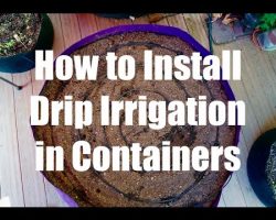 How to Install a Drip Irrigation System in Containers // Growing Your Fall Garden #5