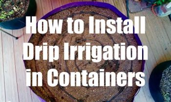 How to Install a Drip Irrigation System in Containers // Growing Your Fall Garden #5